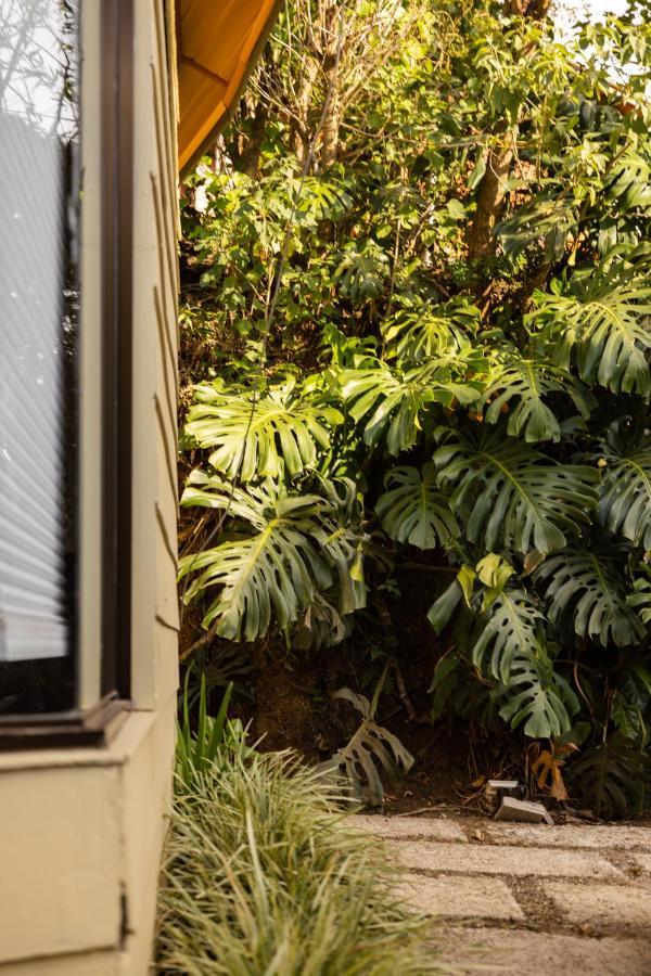 Gamai Monteverde Tiny House Kültér fotó